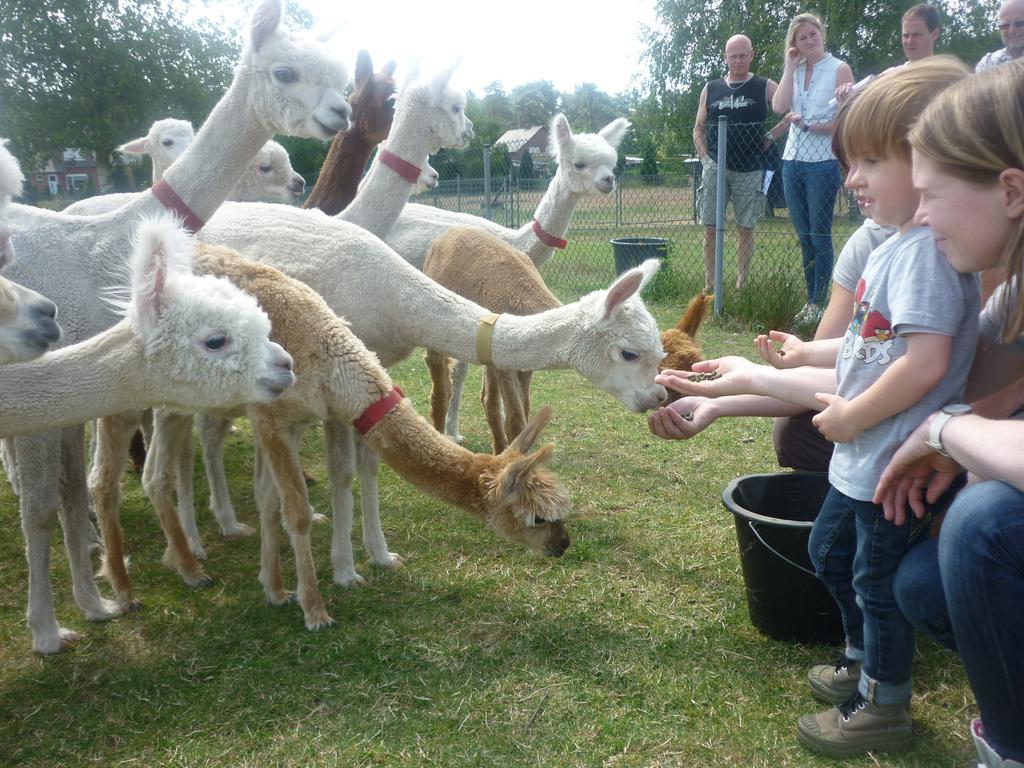 شقة De Alpacaboerderij Bocholt المظهر الخارجي الصورة
